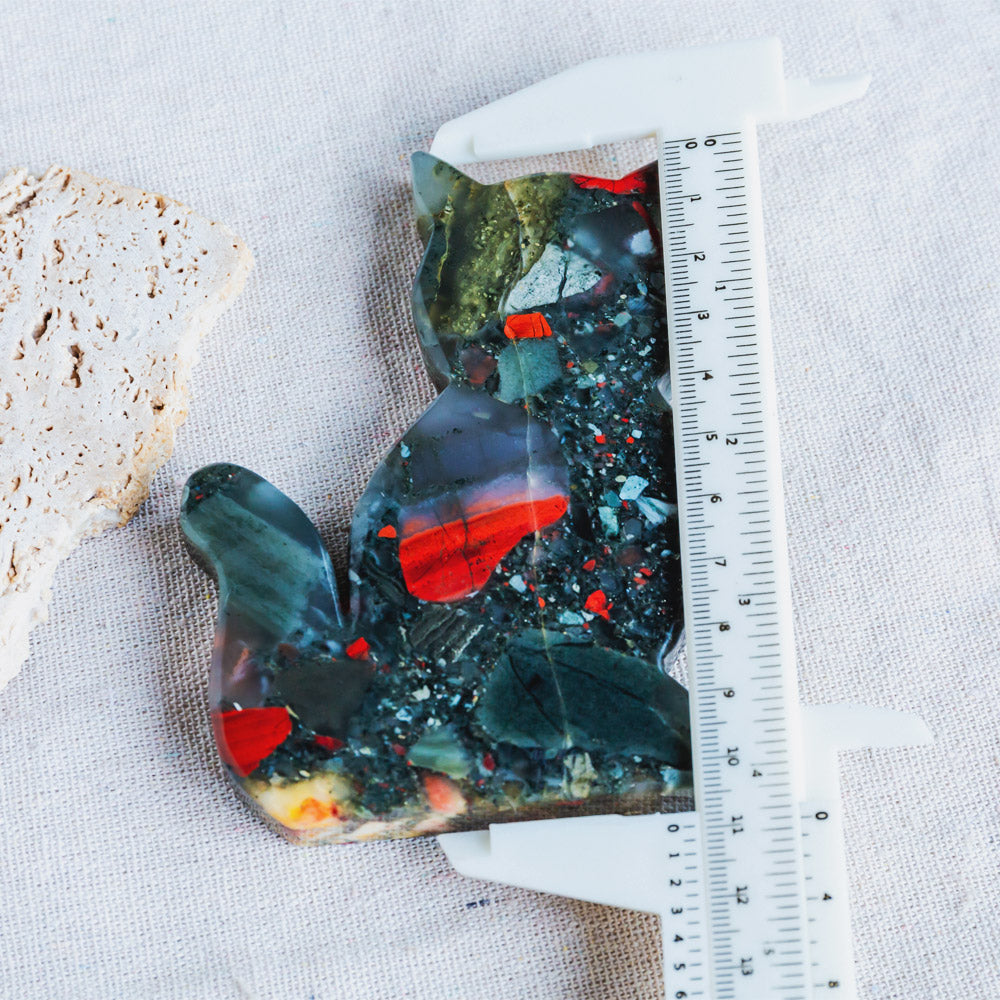 Reikistal Africa Blood Stone Cat Slice