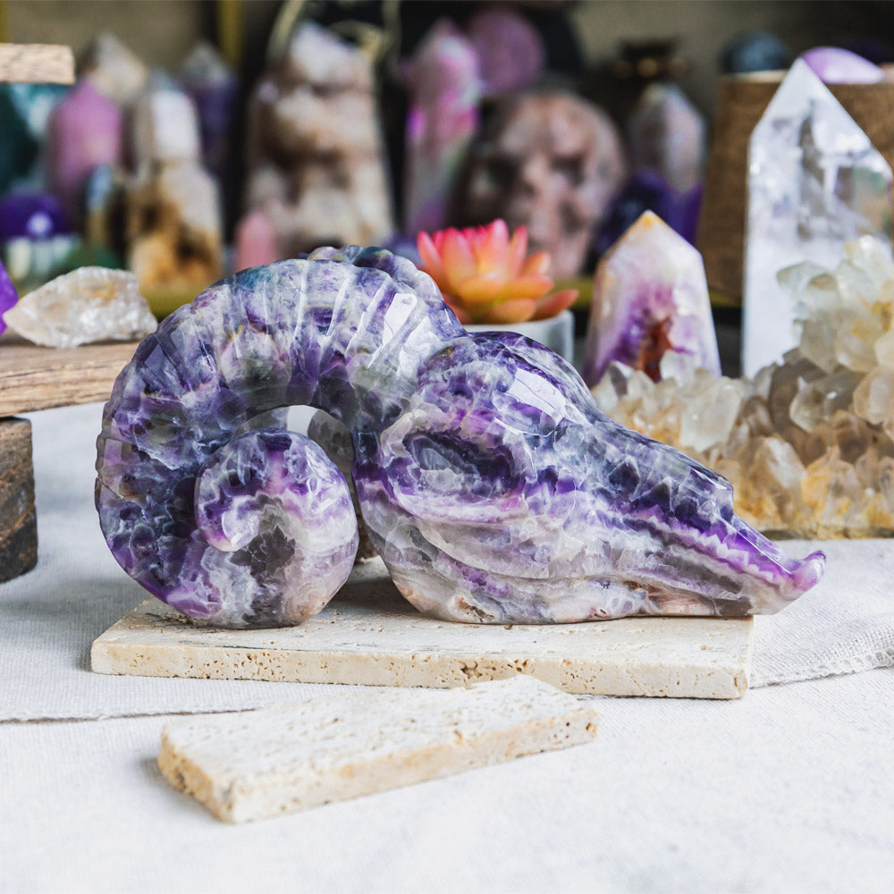 Reikistal Dream Amethyst Sheep Head