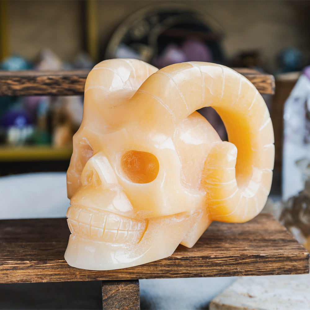 Reikistal Orange Calcite Sheep Skull