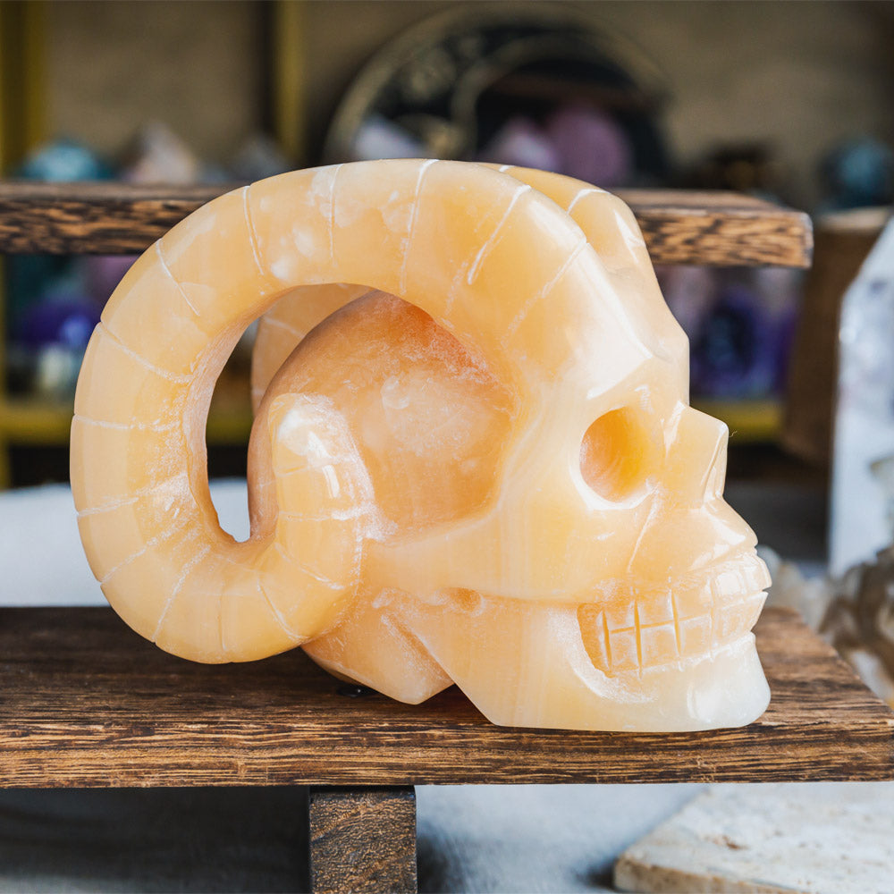 Reikistal Orange Calcite Sheep Skull