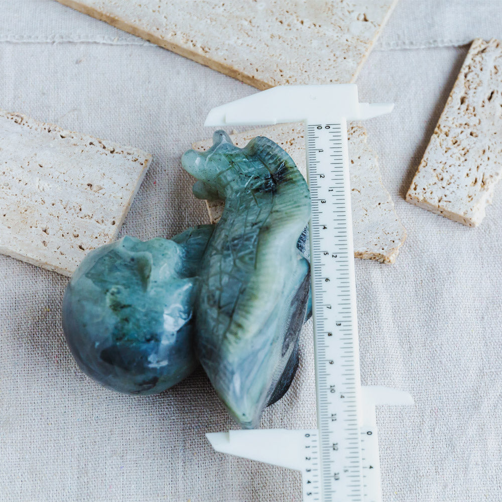 Reikistal Labradorite Skull With Snail