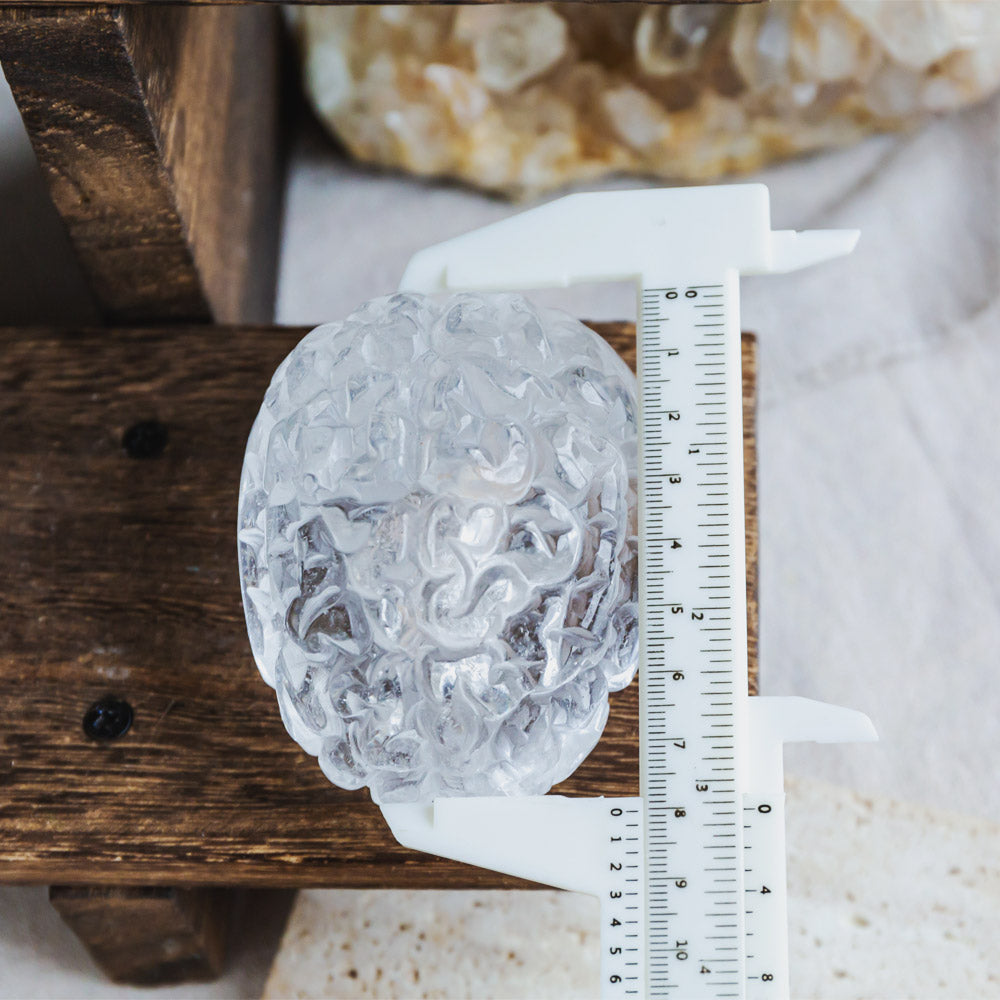 Reikistal Clear Quartz Brain