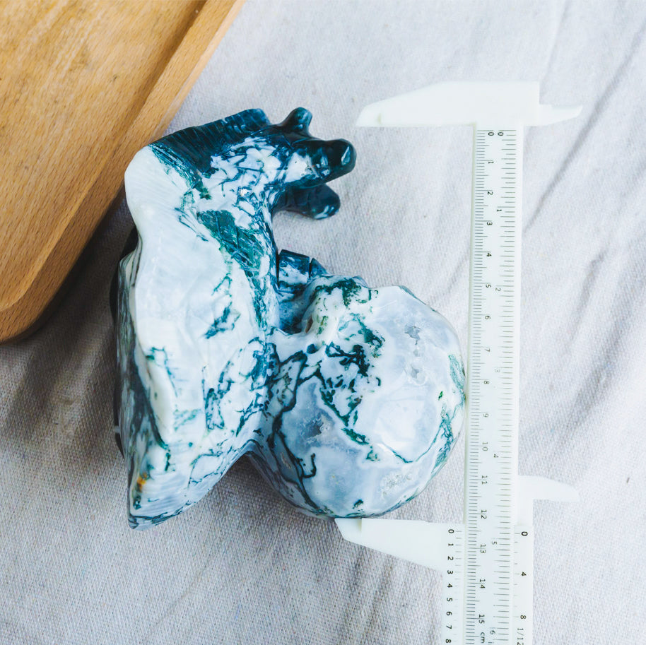 Reikistal Moss Agate Skull With Snail