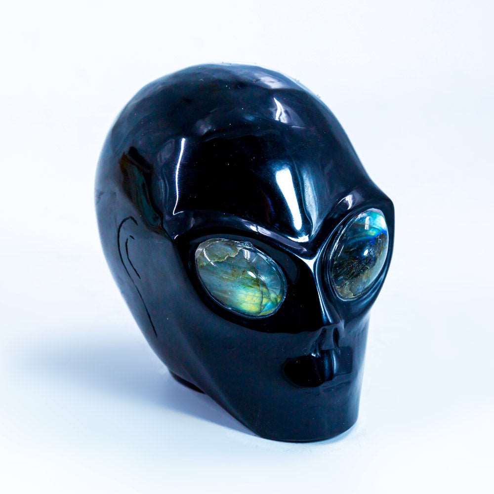 Reikistal Alien Skull With Labradorite Eyes