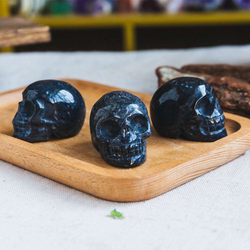 Reikistal Palm Root Skull