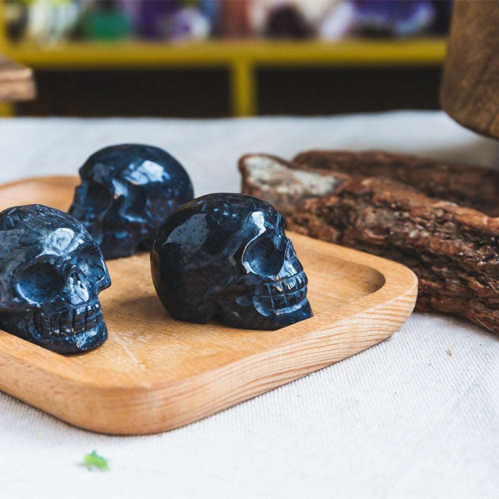 Reikistal Palm Root Skull