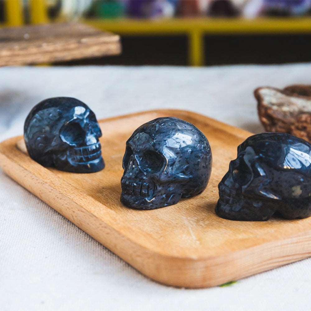 Reikistal Palm Root Skull
