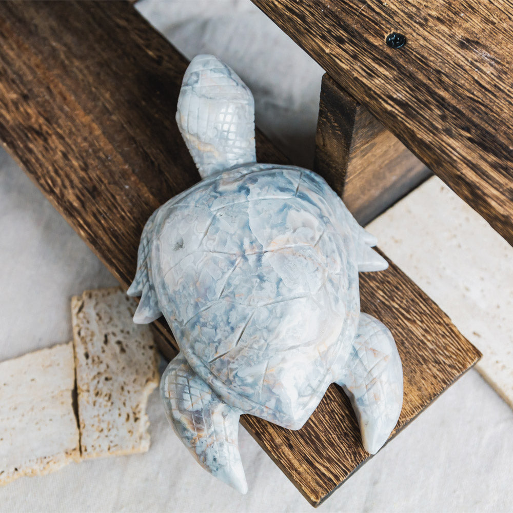 Reikistal White Crazy Lace Agate Turtle