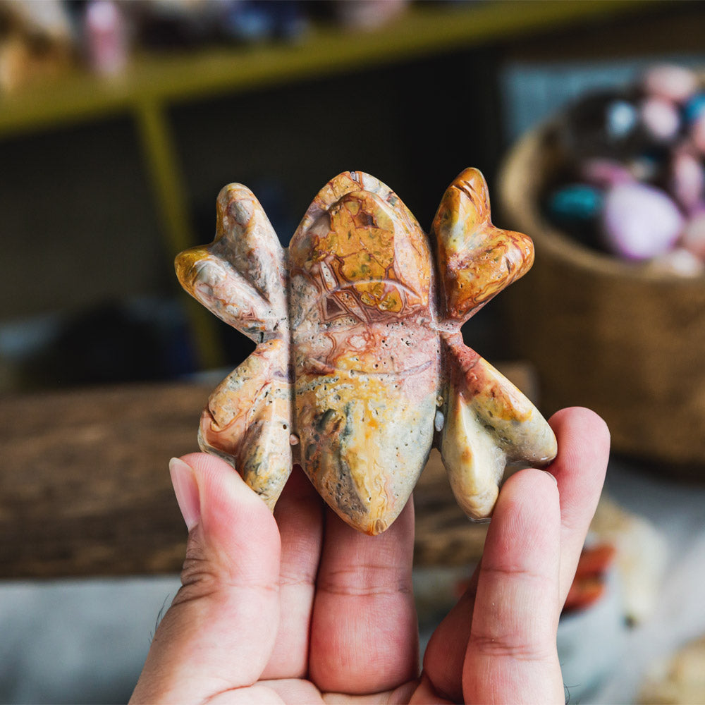 Reikistal Crazy Lace Agate Spider