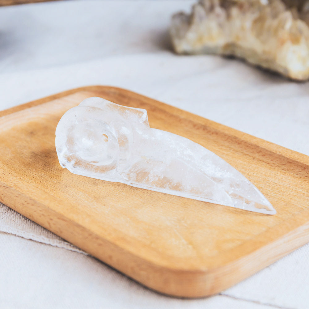 Reikistal Clear Quartz Raven Skull