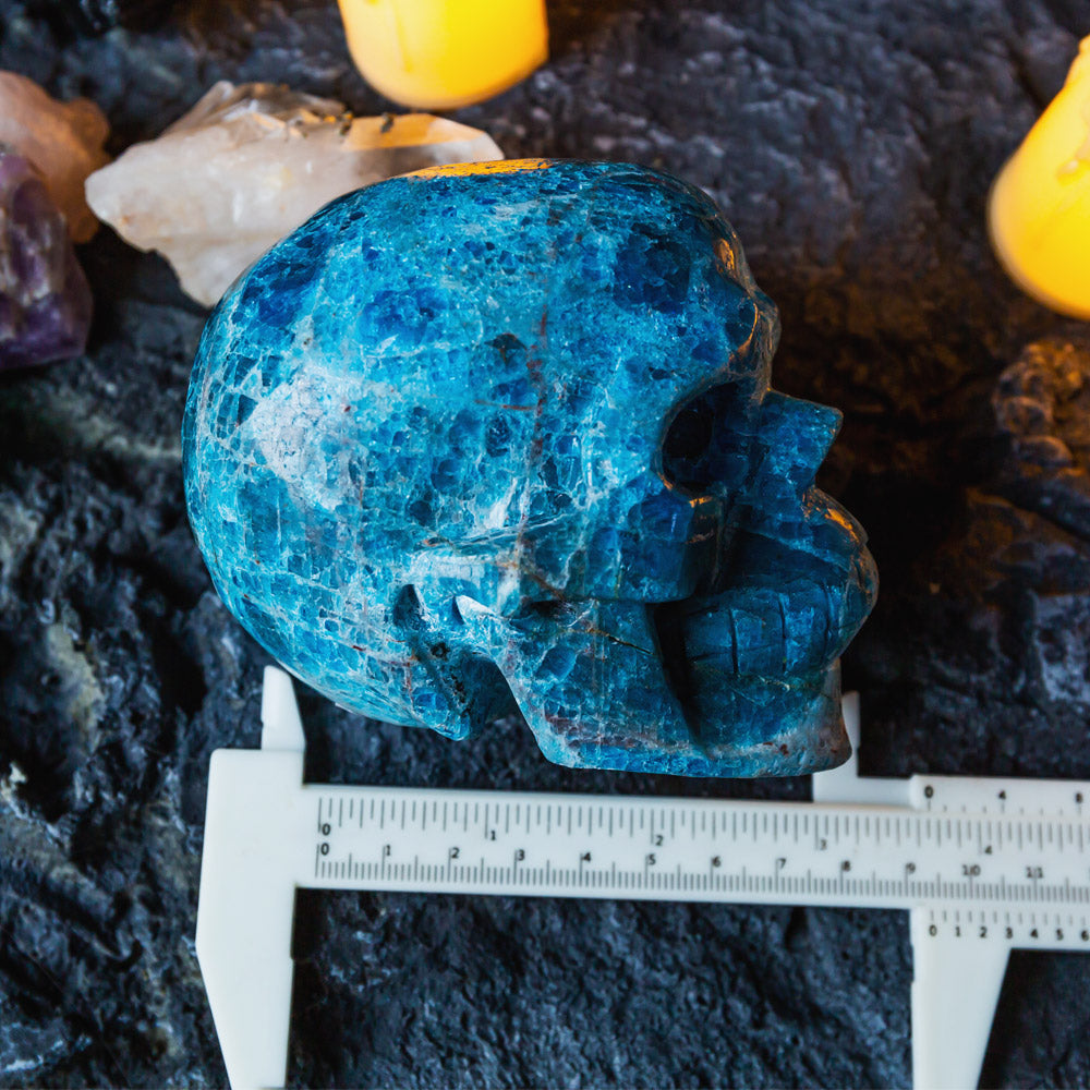 Reikistal Blue Apatite Skull