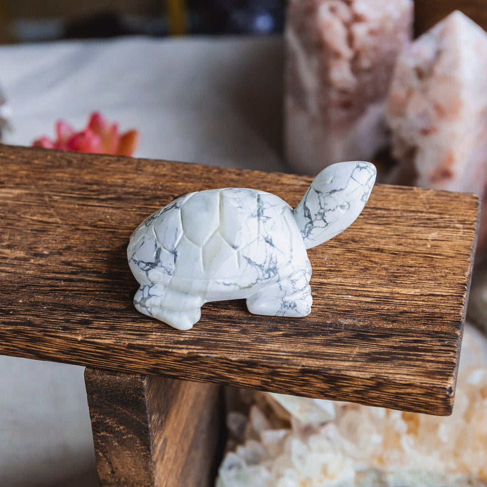 Reikistal Howlite Tortoise