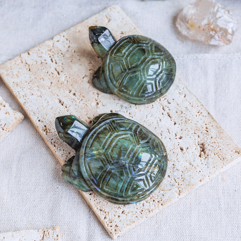 Reikistal Labradorite Tortoise