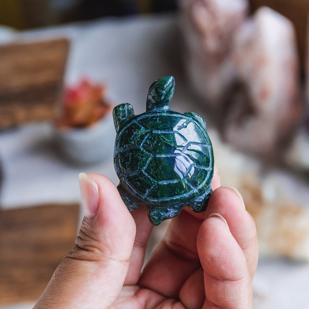 Reikistal Moss Agate Tortoise