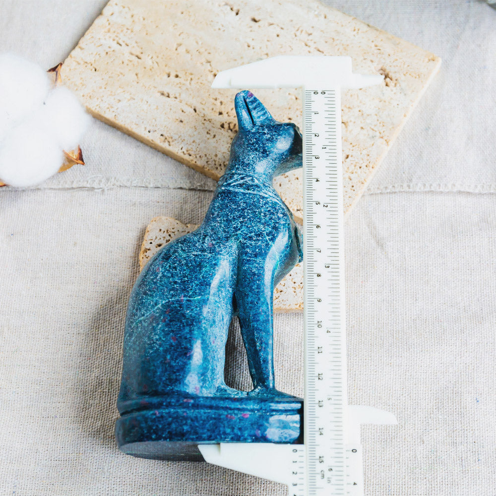 Reikistal Ruby in Kyanite Egypt Cat