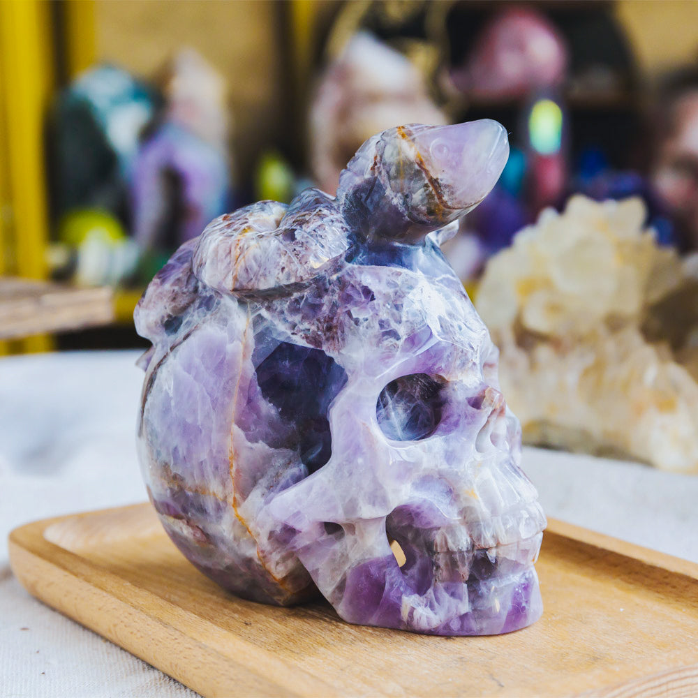 Reikistal Dream Amethyst Skull With Snake