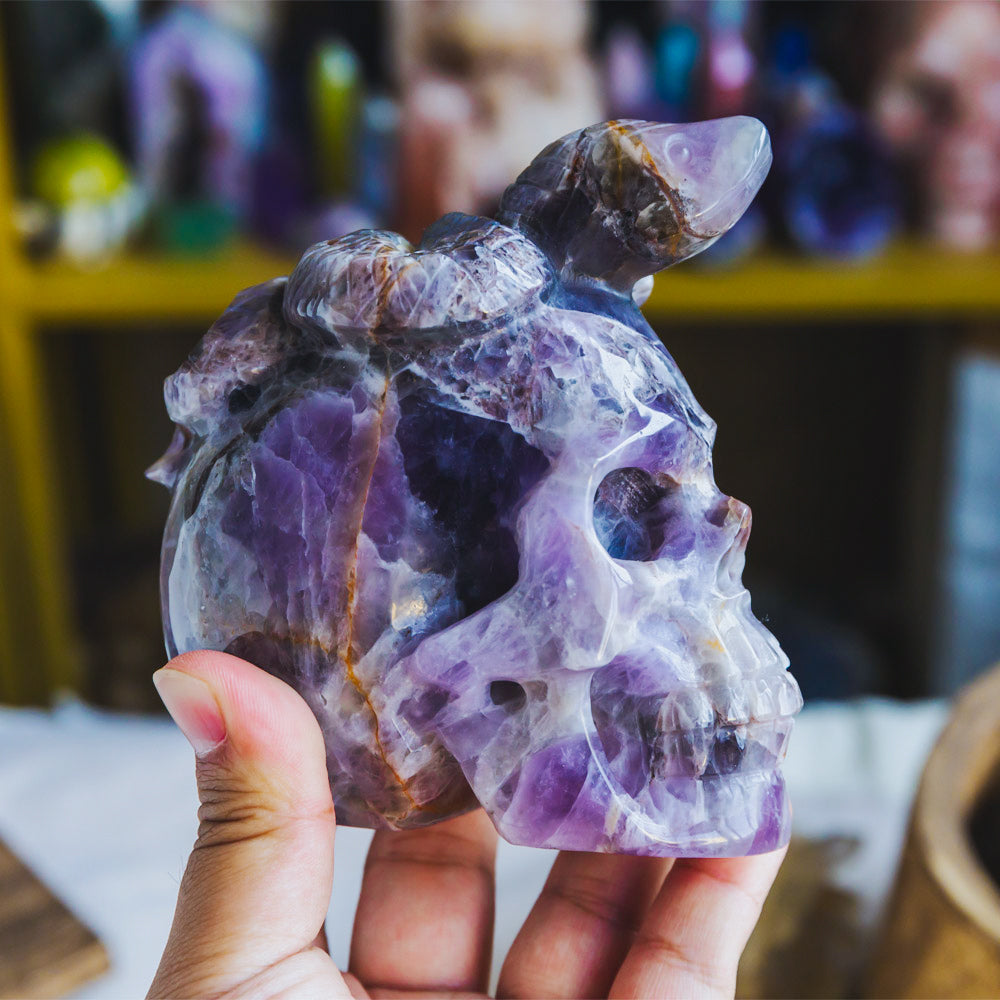 Reikistal Dream Amethyst Skull With Snake