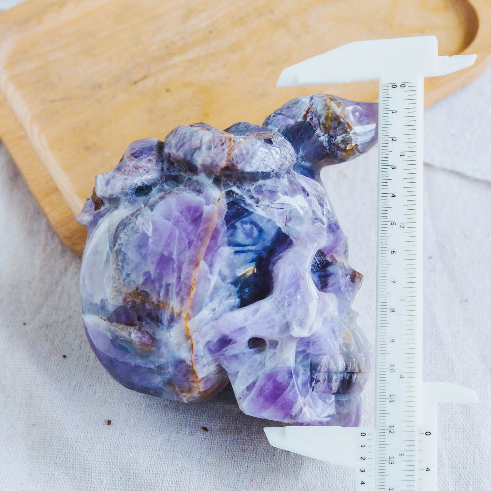 Reikistal Dream Amethyst Skull With Snake