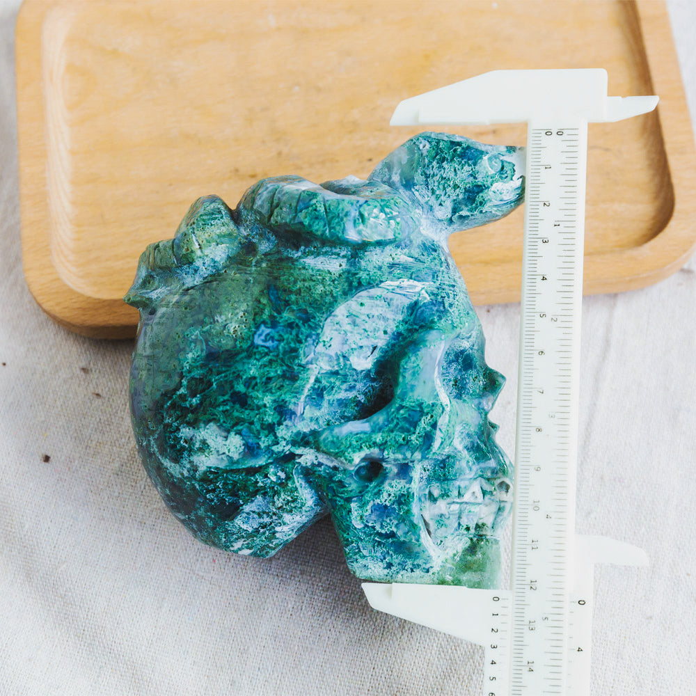 Reikistal Moss Agate Skull With Snake