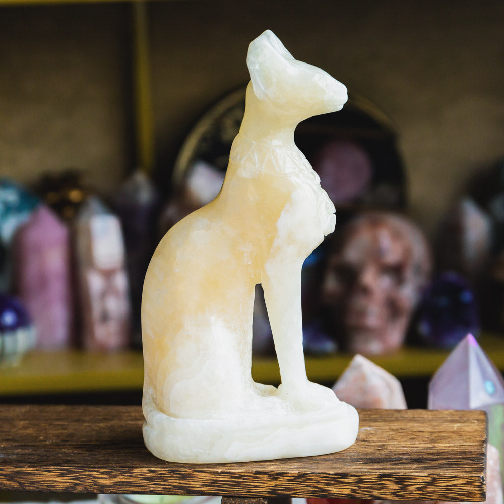Reikistal Orange Calcite Egypt Cat