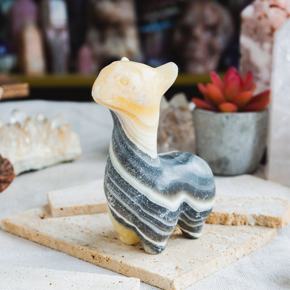 Reikistal Zebra Calcite Llama