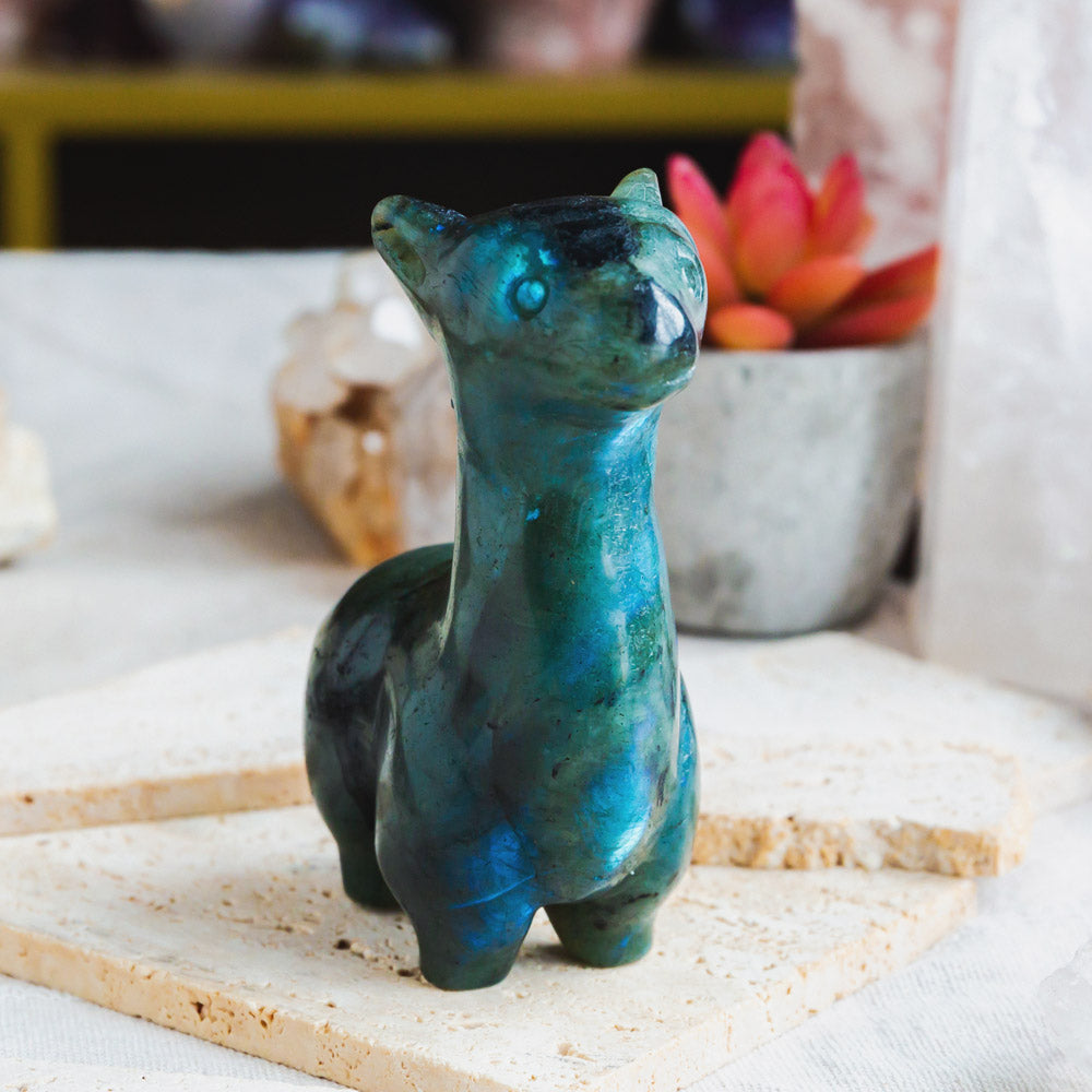 Reikistal Labradorite Llama