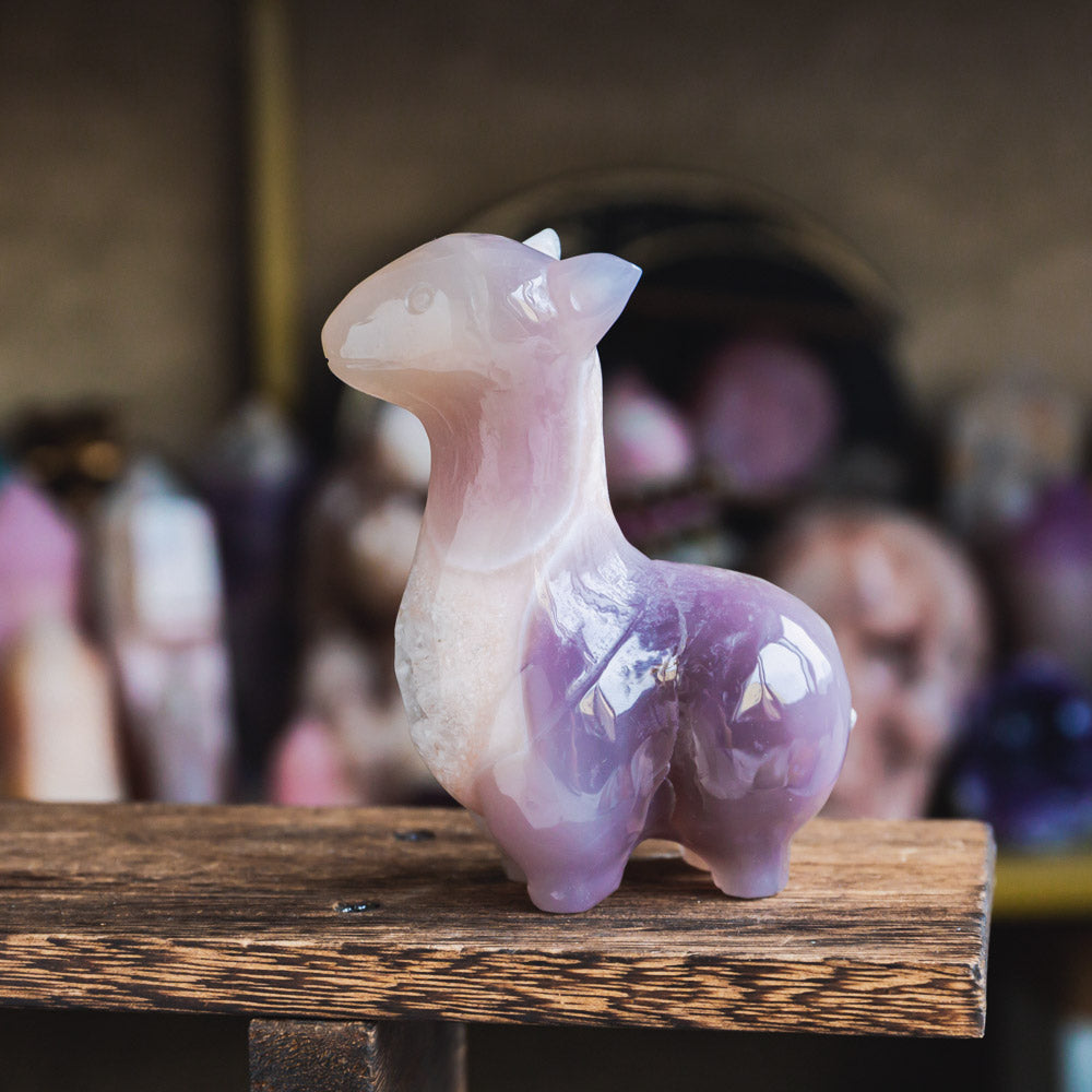 Reikistal Agate Llama