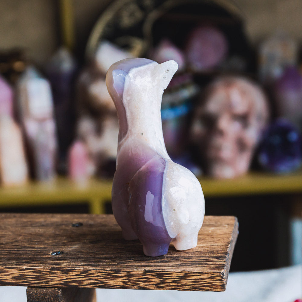 Reikistal Agate Llama