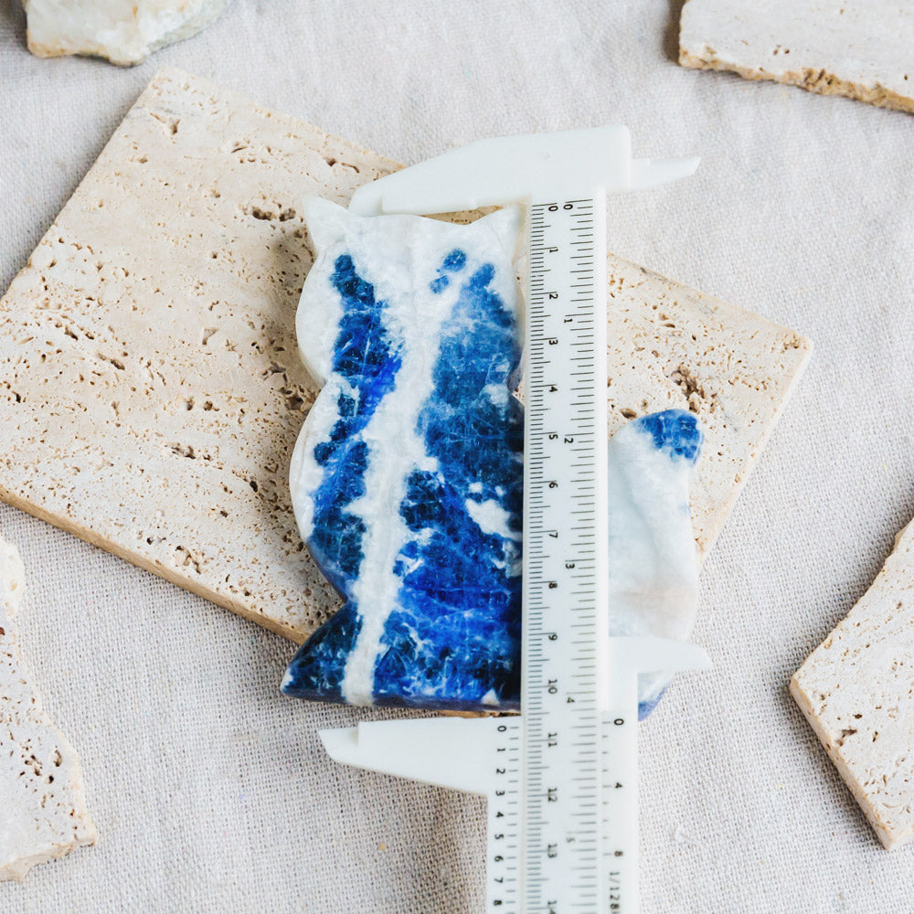 Reikistal Sodalite Cat Slice