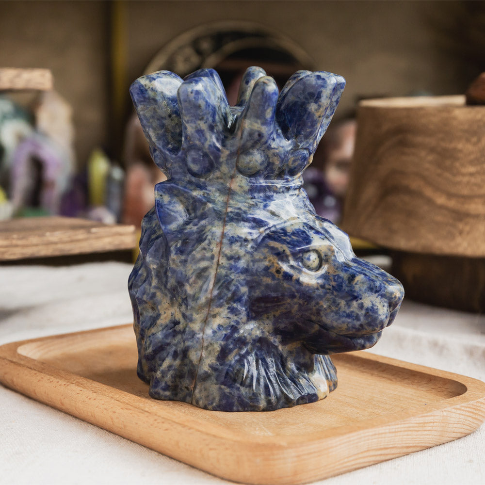 Reikistal Sodalite Lion Head