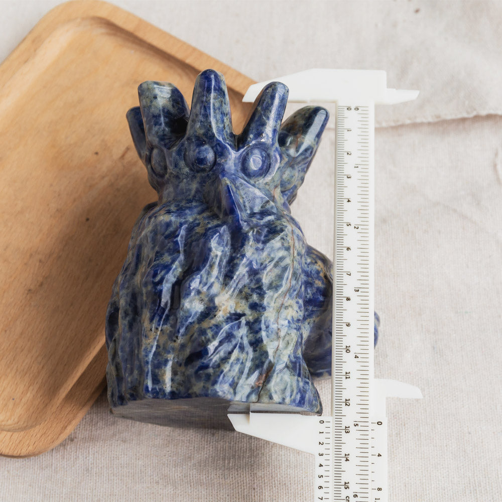 Reikistal Sodalite Lion Head