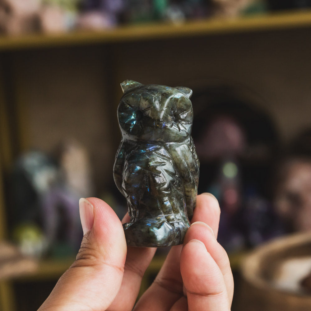 Reikistal Labradorite  Owl