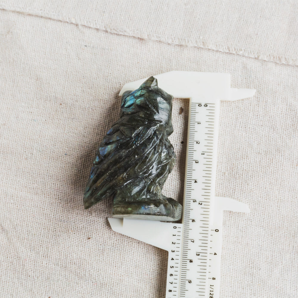 Reikistal Labradorite  Owl