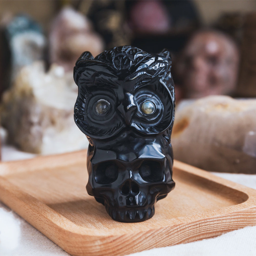 Reikistal Black Obsidian Skull With Owl