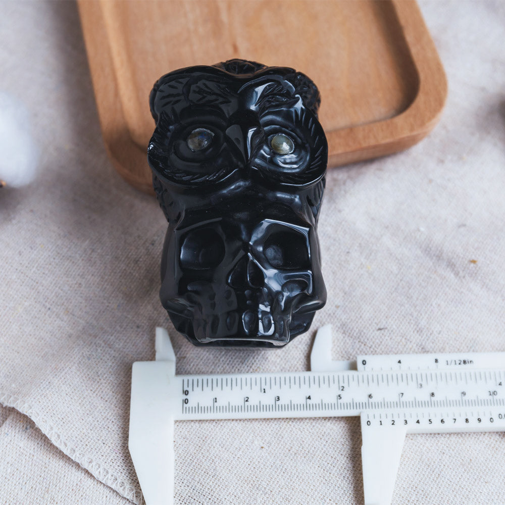 Reikistal Black Obsidian Skull With Owl