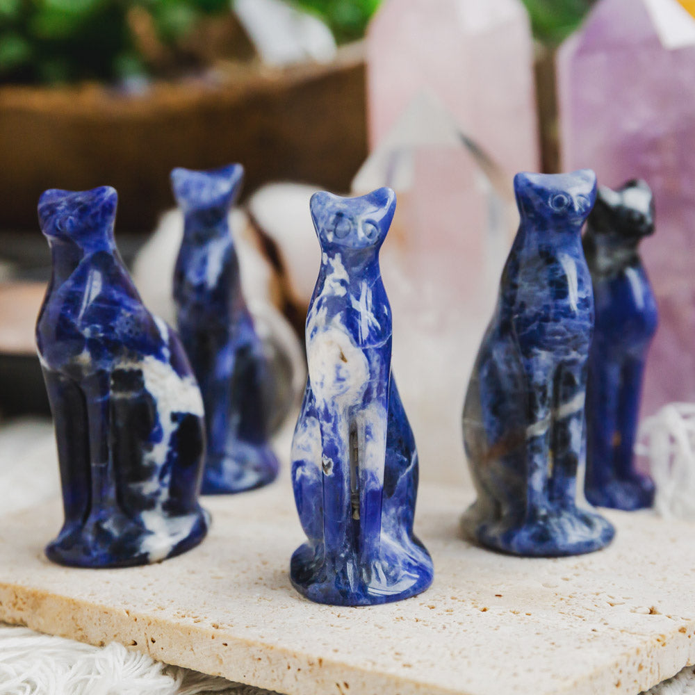 Reikistal Sodalite Cat