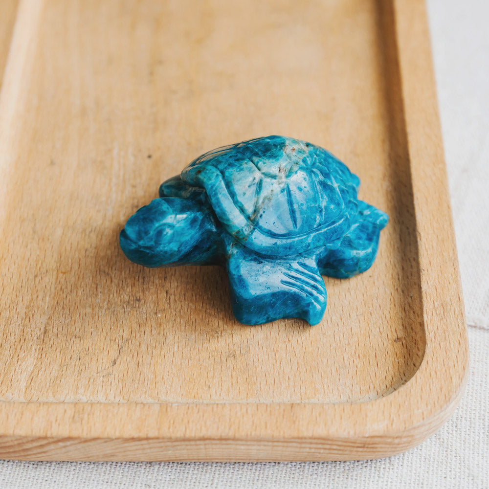 Reikistal Blue Apatite Turtle