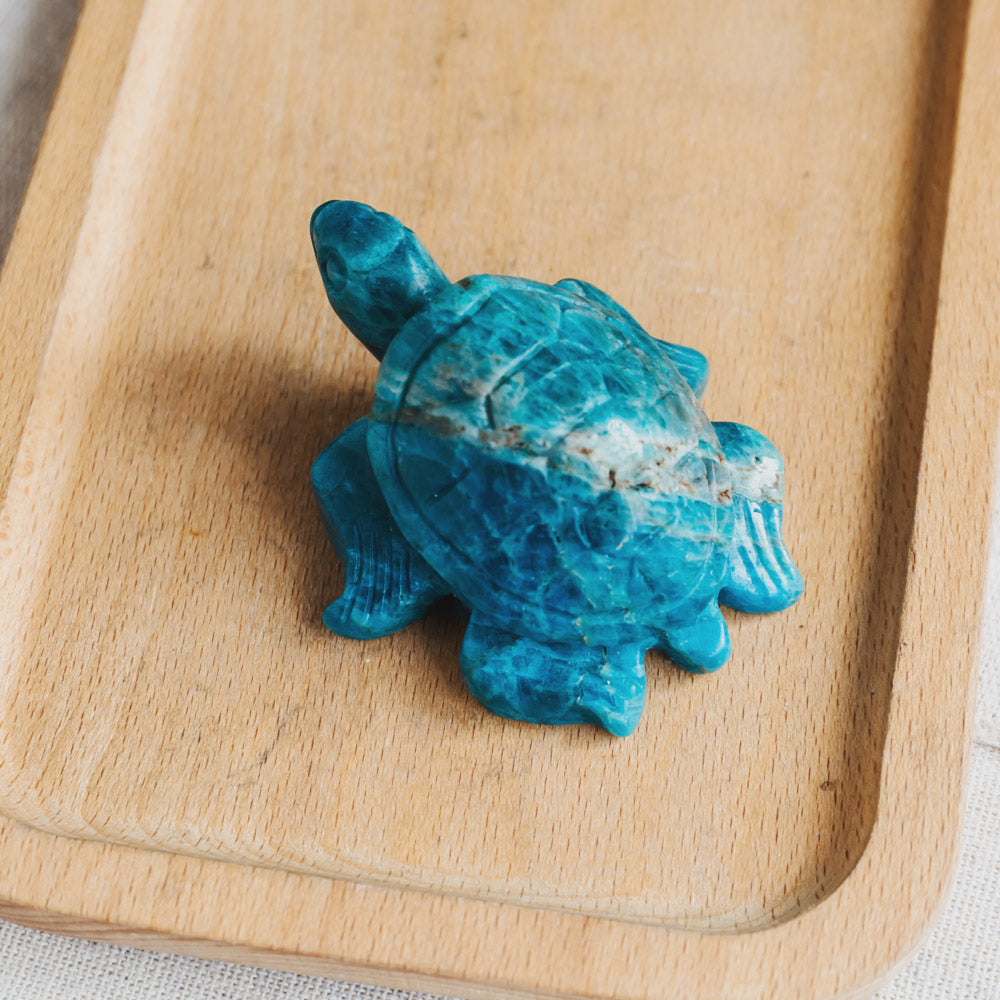 Reikistal Blue Apatite Turtle