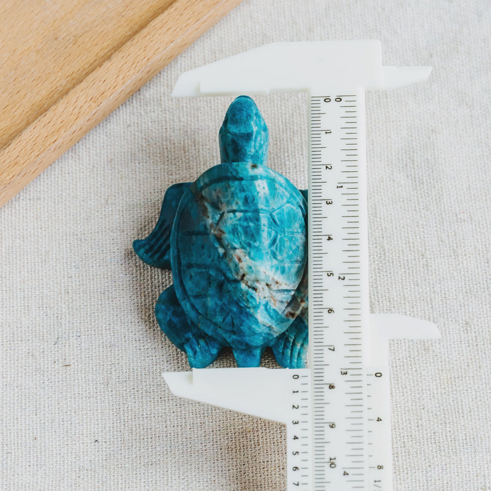 Reikistal Blue Apatite Turtle