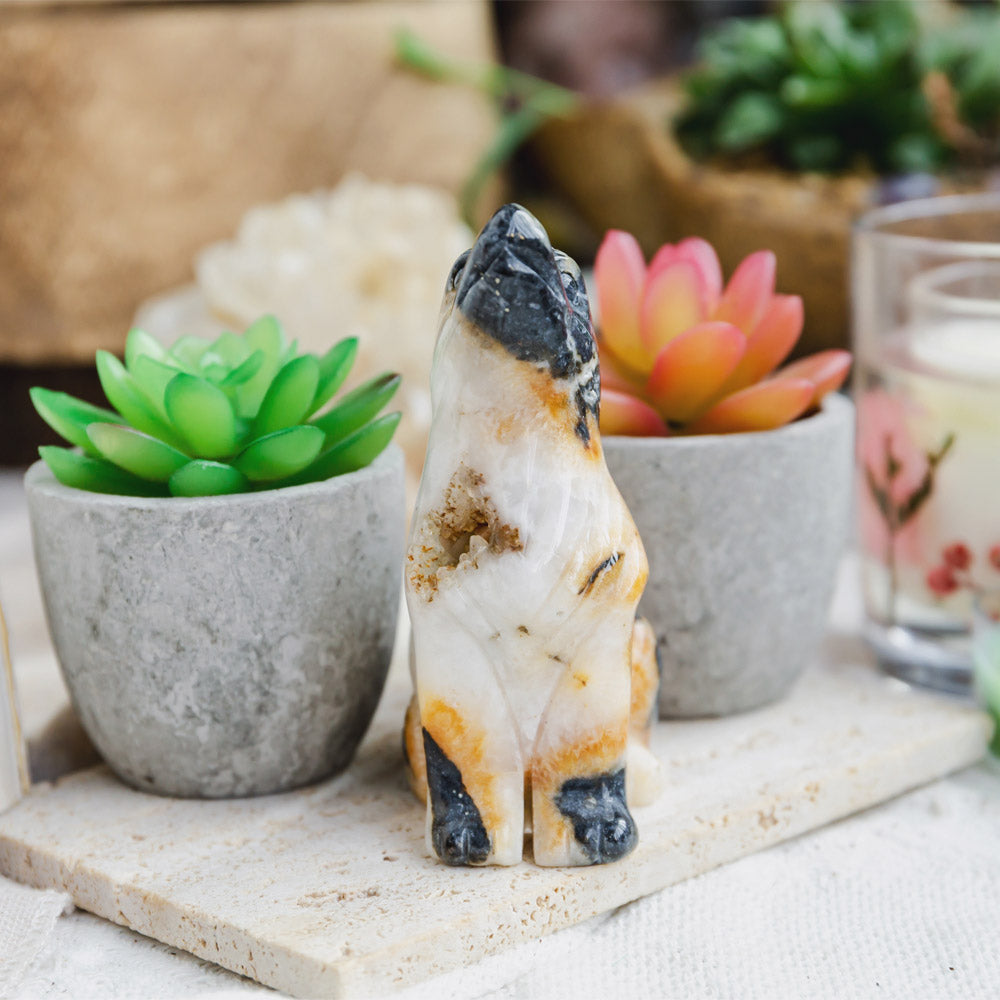 Reikistal Druzy Sphalerite Wolf