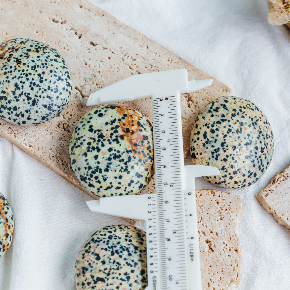 Reikistal Dalmatian Palm Stone
