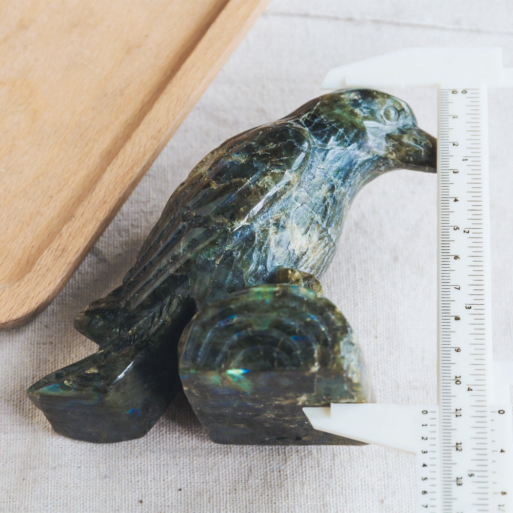 Reikistal Labradorite Crow