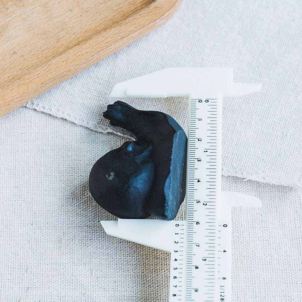 Reikistal Black Obsidian Snail