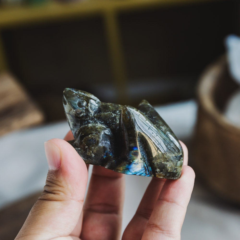 Reikistal Labradorite Frog