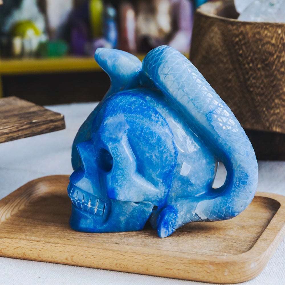 Reikistal Blue Aventurine Skull With Snake