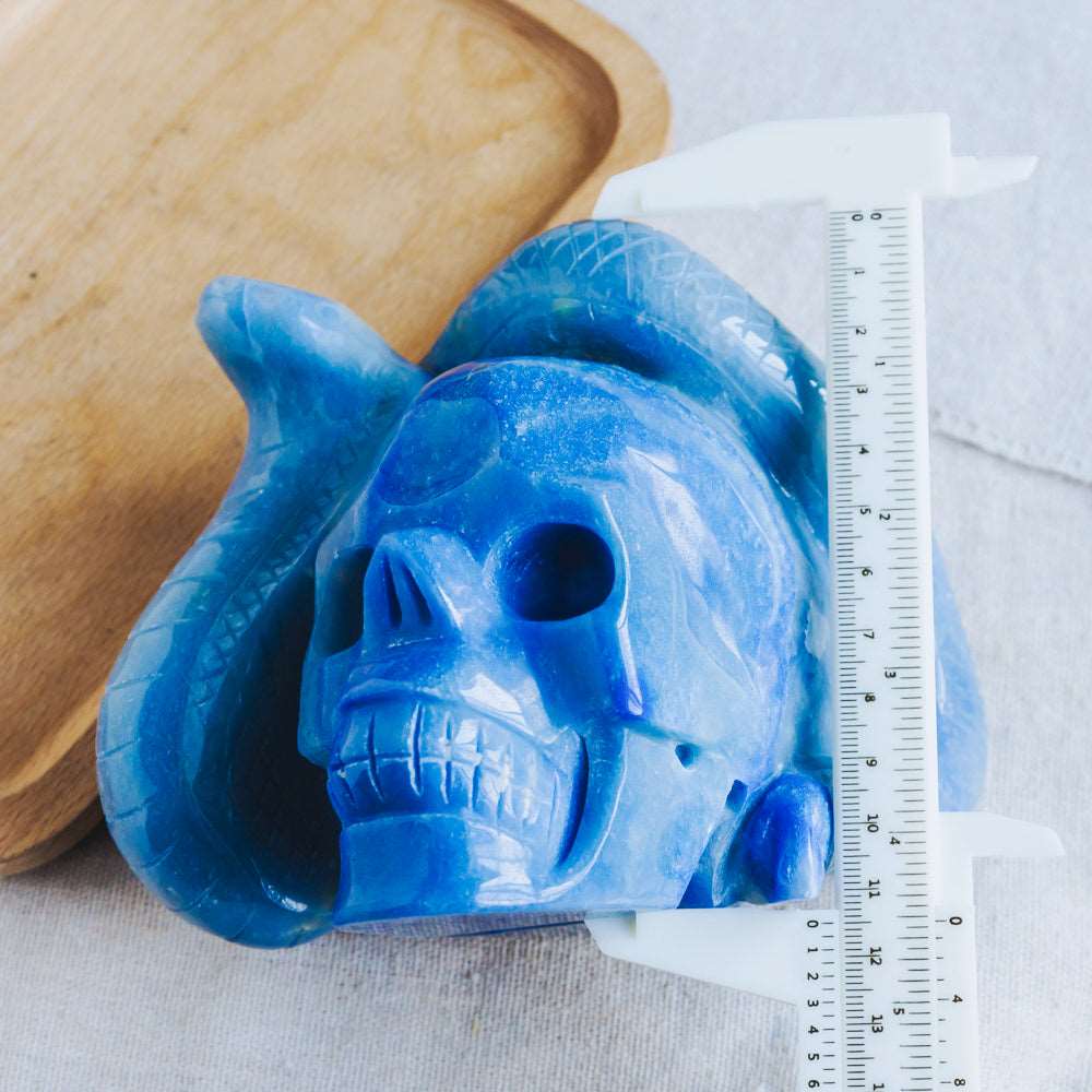 Reikistal Blue Aventurine Skull With Snake