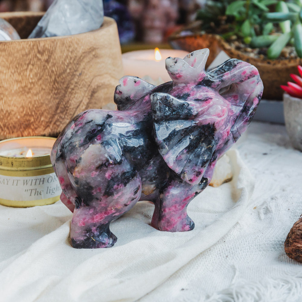 Reikistal Rhodonite With Clear Quartz Elephant