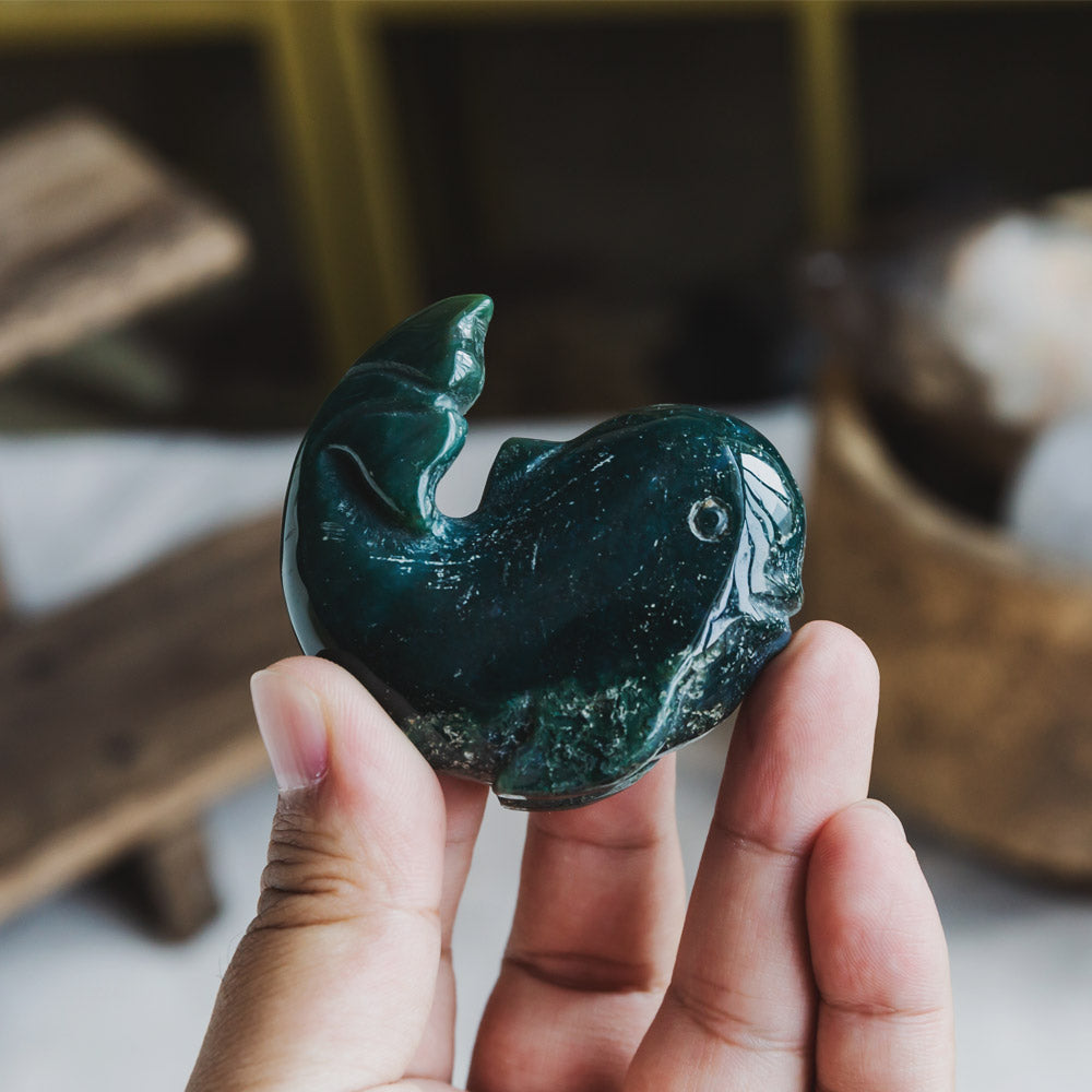 Reikistal Ocean Jasper Whale