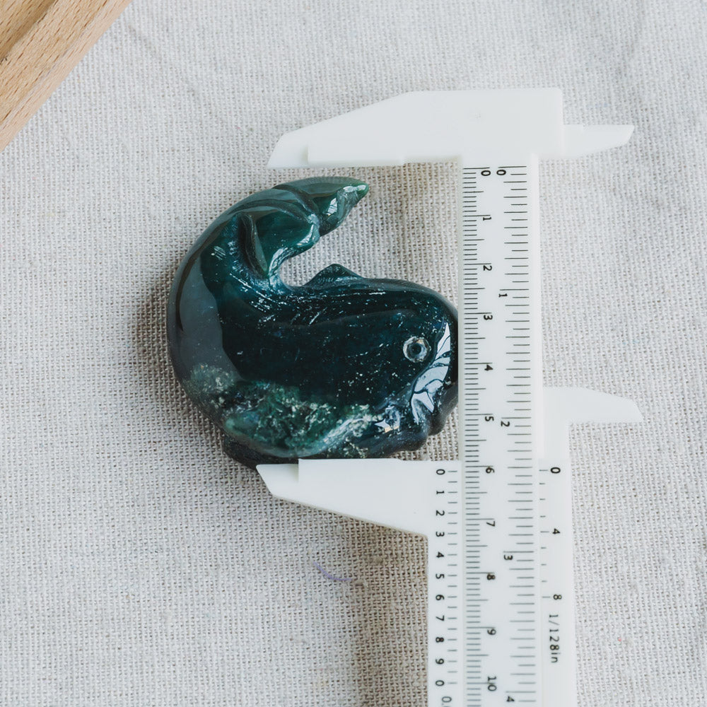 Reikistal Ocean Jasper Whale
