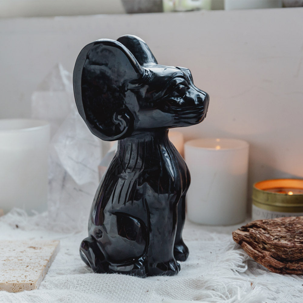 Reikistal Black Obsidian Sphynx Cat